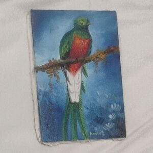 Colorful Bird Wall Art for Bird Lovers